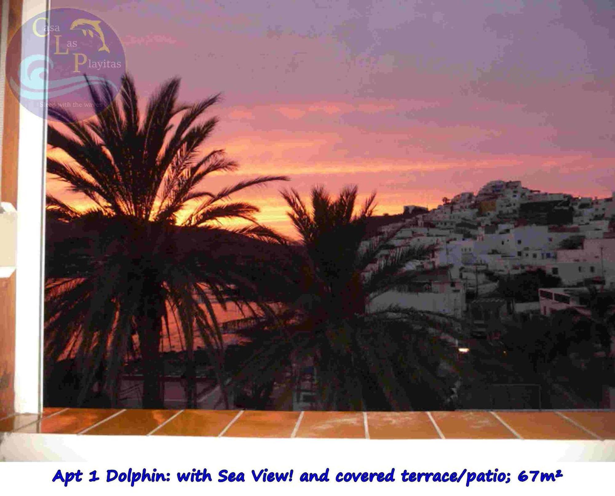 Casa Las Playitas -Clp- Best Sea View - In 1 Minute Ocean Las Playas Екстериор снимка